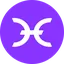 Holo Logo